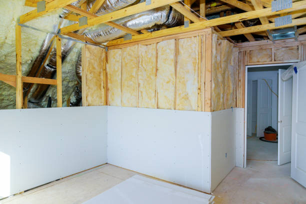 Best Eco-Friendly Insulation in Berrien Springs, MI