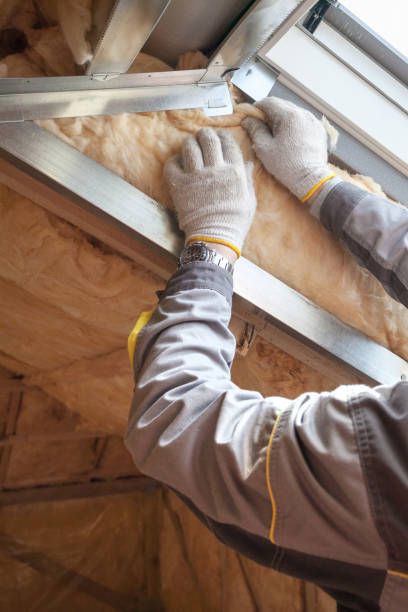 Best Residential Insulation in Berrien Springs, MI