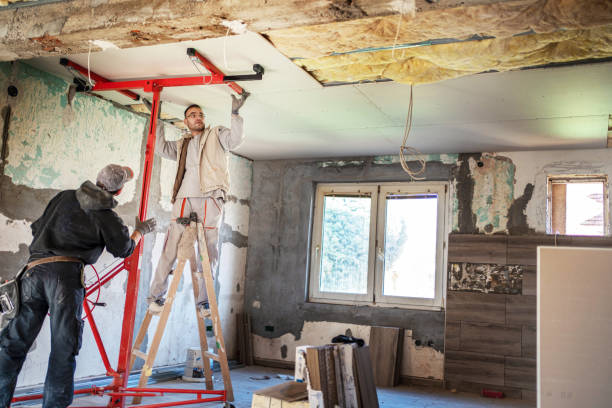 Best Cellulose Insulation in Berrien Springs, MI