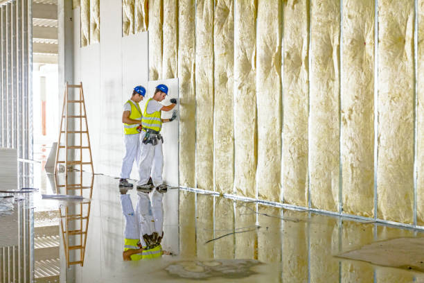 Professional Insulation Contractor in Berrien Springs, MI